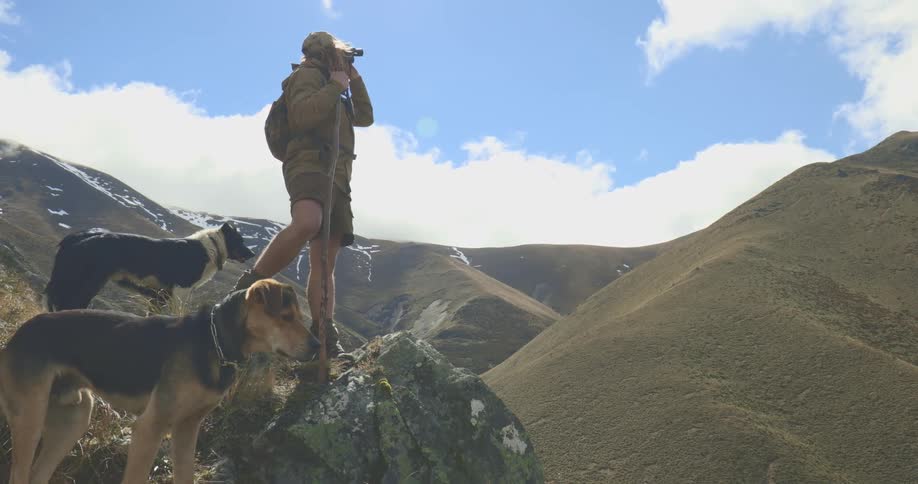 A person wearing a backpack stands on a rock on a mountain ridge and looks through binoculars with two dogs standing close by and steep grassy hills filling the background under a sunny cloudy sky