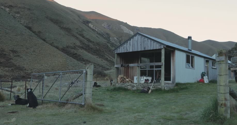 Several dogs rest quietly in the grass outside a rustic cabin which sits at the base of a steep mountain valley as dusk settles in
