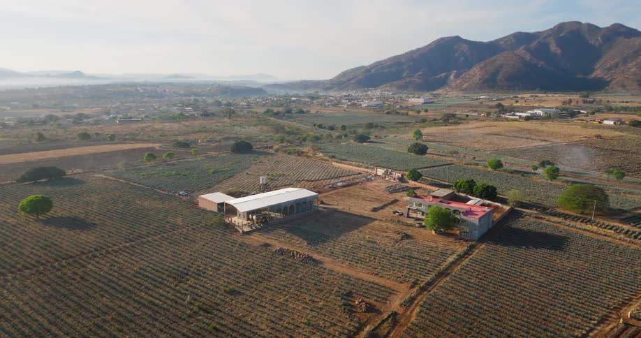 Geometrically patterned fields surround agricultural structures in rural area with mountains in the background