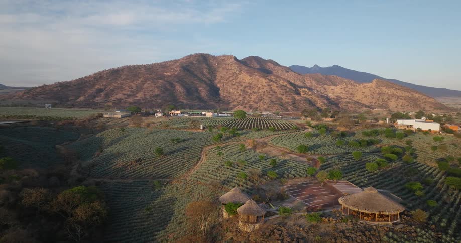 Mountain landscape with terraced fields thatched structures and village in the distance under soft morning