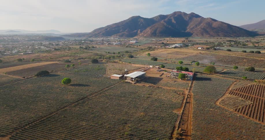 A vast farmland stretches across the landscape at midday with a single lone building standing prominently in the middle of the open land