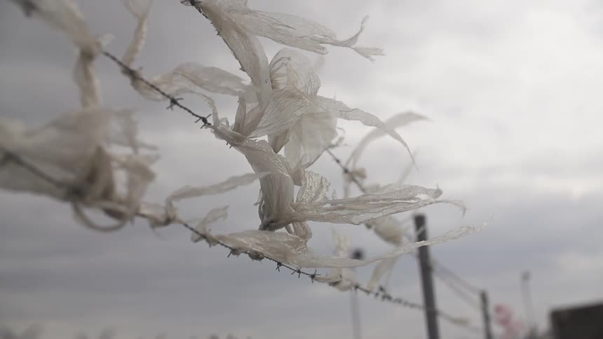 View of barb wire with a cloudy sky above