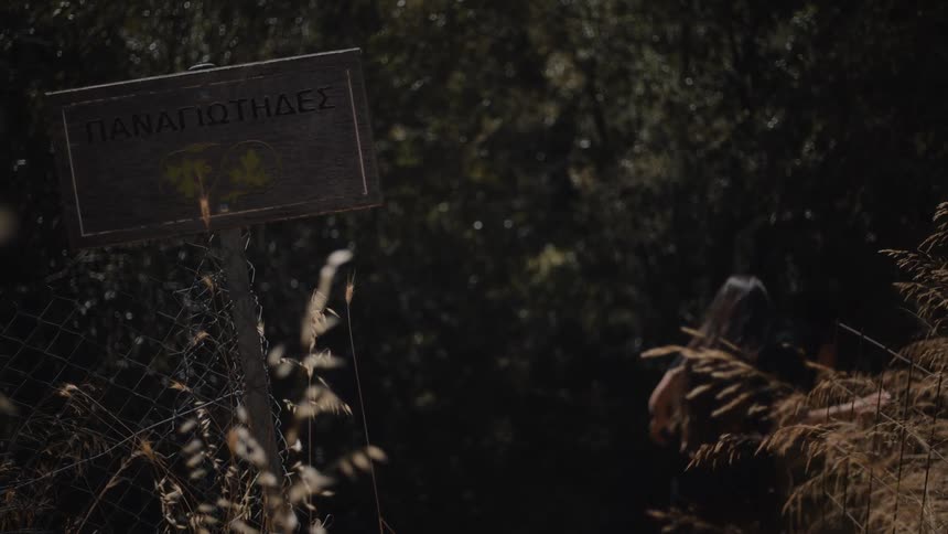 Sign with greek text and yellow symbol is attached to metal fence in wooded area with tall vegetation and person in the background