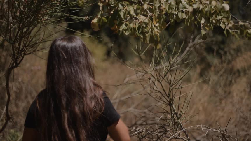 A man and woman are harvesting something from a tree
