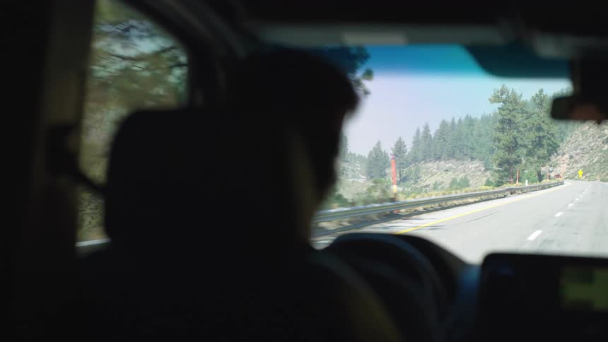 Driver travels along a treelined road on a sunny day