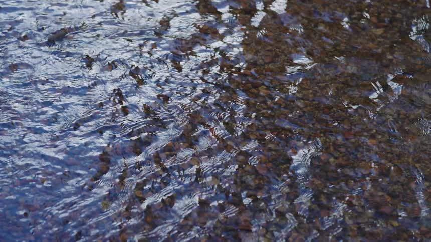 A small shallow creek moves rapidly across gravel