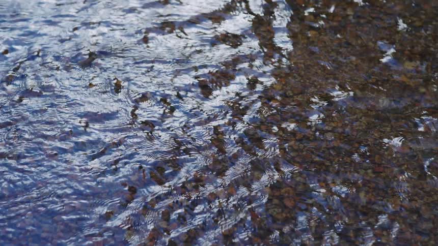 Flowing water reflects light over stones on the streambed