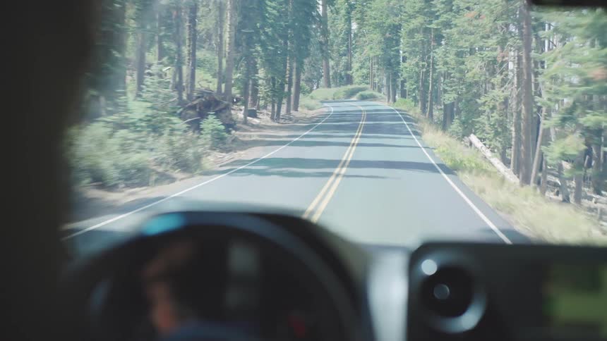 Person driving a car through a road surrounded by trees and vegetation indoors during day time