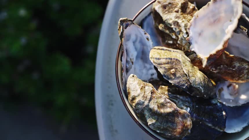 A plate filled with seashells as a persons hand drops another oyster seashell on top