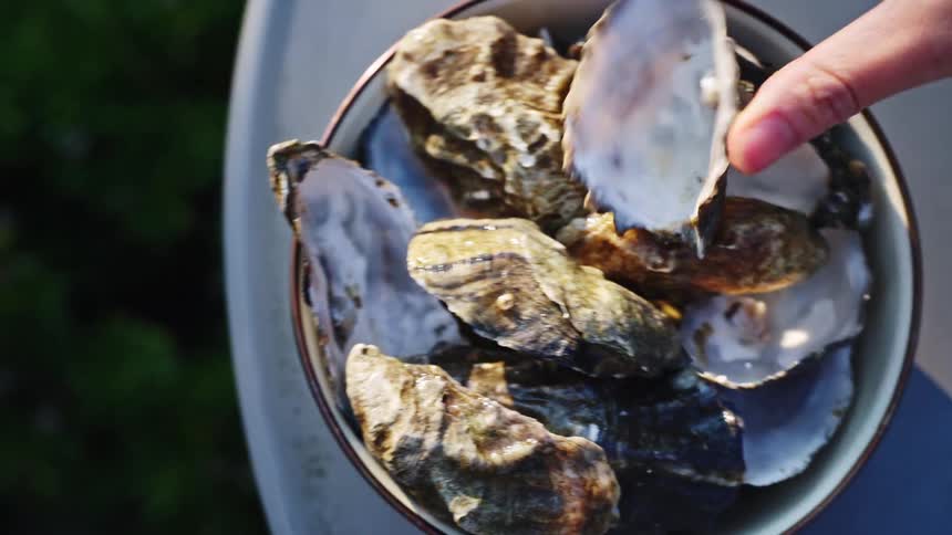 Bowl with stacked oyster shells under natural light