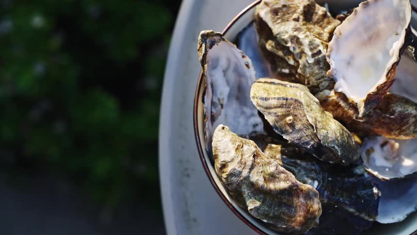 A large bowl filled with oyster shells sits on a table outdoors at midday