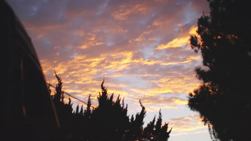 Silhouettes of tall trees frame a vibrant evening sky with clouds in shades of orange pink and purple