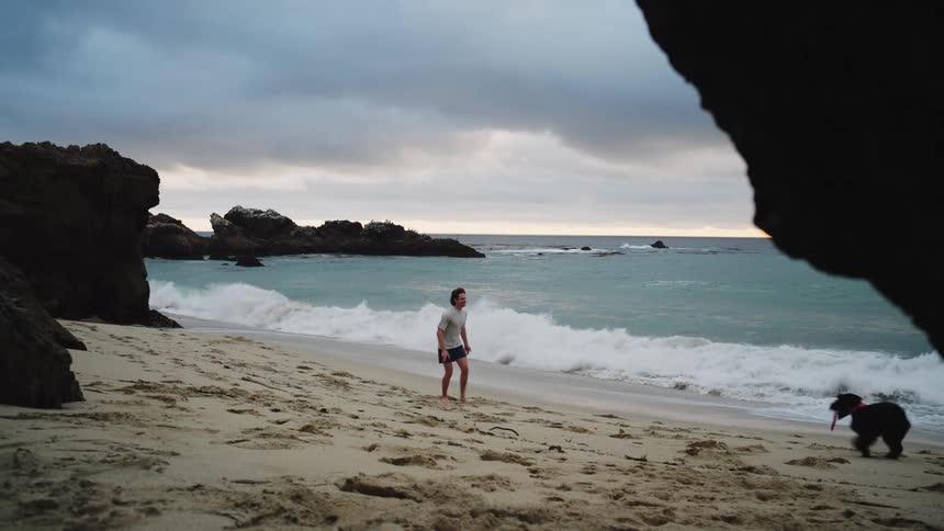 A man and his dog are playing and running on a beach
