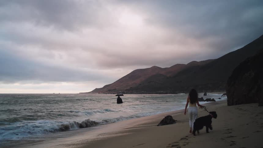 A young woman walking on the beach with her dog