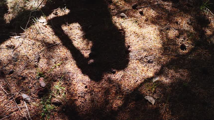 The person gives off a shadow on the dirt