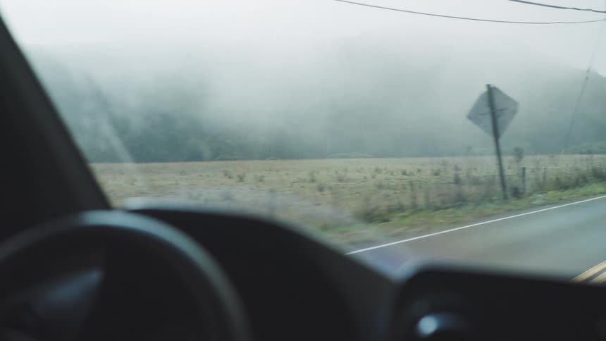 A low interior view through a car windshield shows a vehicle driving down a rural road past foggy green hills and a pasture with cows grazing in a misty atmosphere
