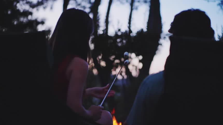 Two people roast marshmallows beside a campfire in the woods at dusk