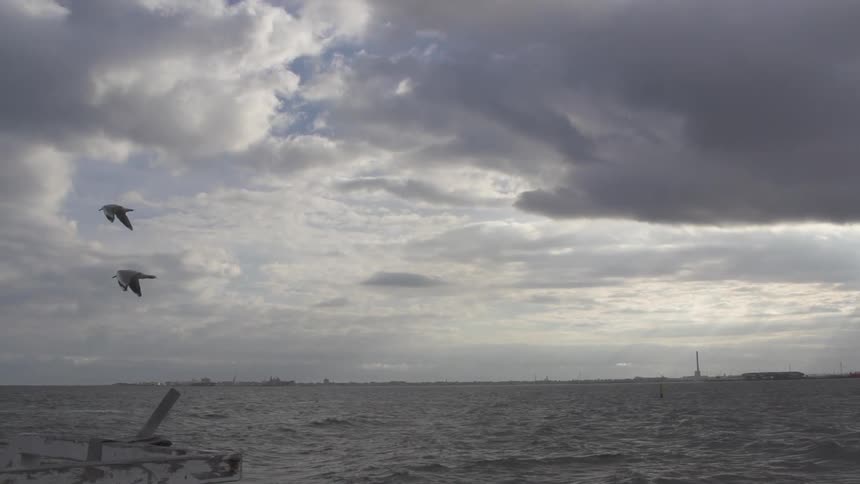 Slow motion shot of gulls flying over choppy waves under skies filled with storm clouds