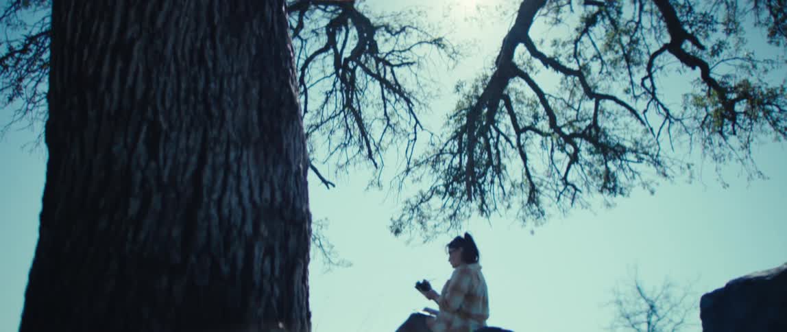 A large tree trunk dominates the left side of the frame a person sits underneath the canopy of branches on the ground the person holds a notebook and a pen and the bright sun shines through the silhouetted branches