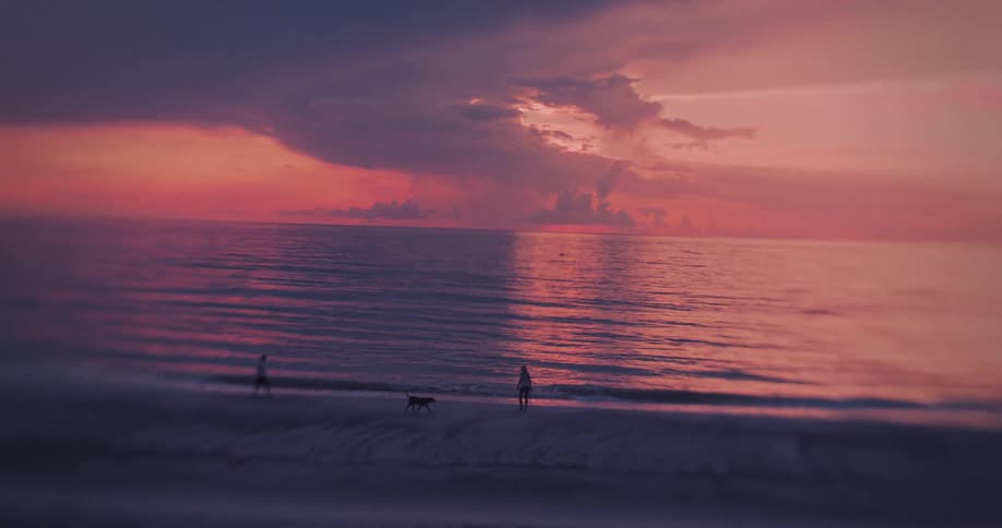 Two people walk on the beach near the waters edge one walks with a dog ocean waves move across the scene and a large cloud hangs in the colorful sunset sky