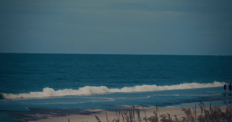 Two distant figures walk along the wet sand of a vast dark blue ocean shore with small waves washing in under an overcast sky with dry dune grass in the foreground