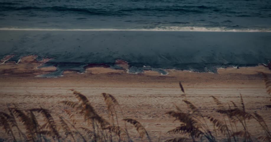 The video is an extreme closeup of a turbulent dark blue ocean washing ashore onto a wide beachin the foreground the waving tops of dried sea oats or tall grasses partially obscure the view of the churning water and wet sand