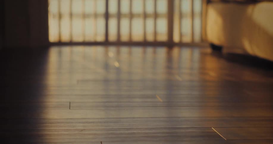 A lowangle closeup shows a dark wooden floor strips of bright sun and shadow from vertical blinds fall across the surface and the illuminated floor reflects the light in the middle ground while a couch is blurred in the background
