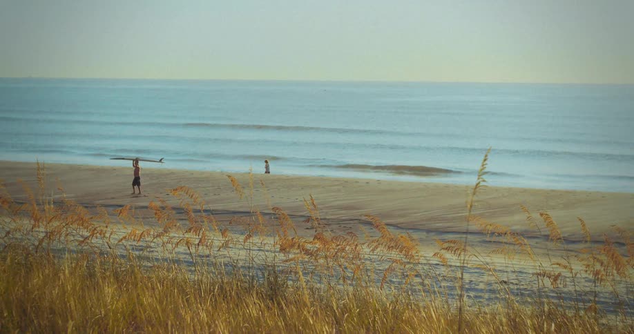 A person carrying a surfboard walks along the beach sand while another one walks on the shoreline the ocean stretches to the horizon with waves rolling in and dry grass fills the immediate foreground