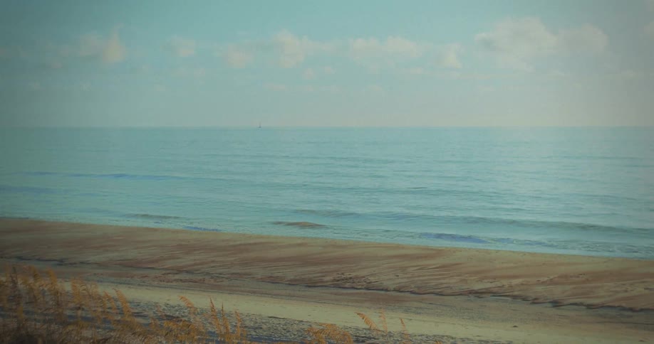 A long wide view of a deserted beach shows a whale briefly breaking surface on subtle blue ocean waves rolling onto the sand with a vast horizon under a pale partly cloudy sky