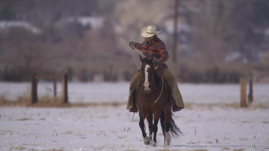 A cowboy on horseback twirls a lasso over a snowy pasture