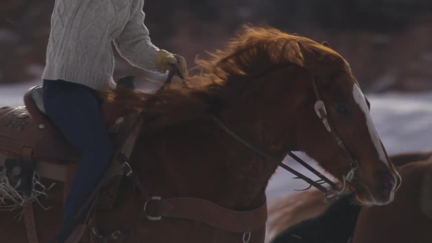 A person wearing a light sweater and gloves sits on a dark brown horse the horses mane blows in the wind the rider holds the reins and another horse and rider are partially visible in the blurred snowy background
