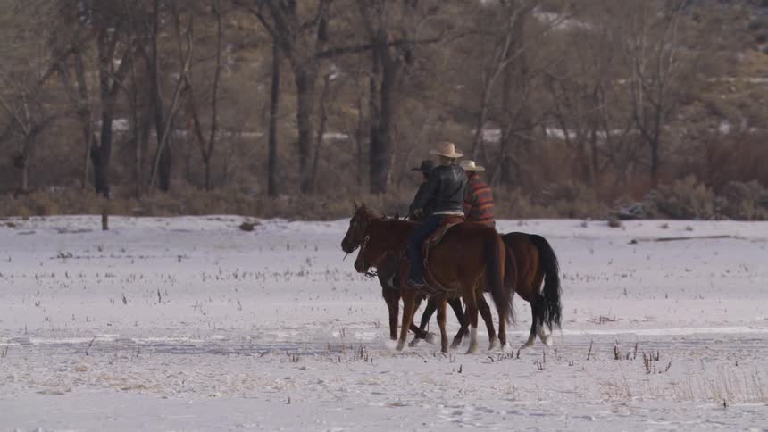 Riders cross a snowy field with leafless trees in the background