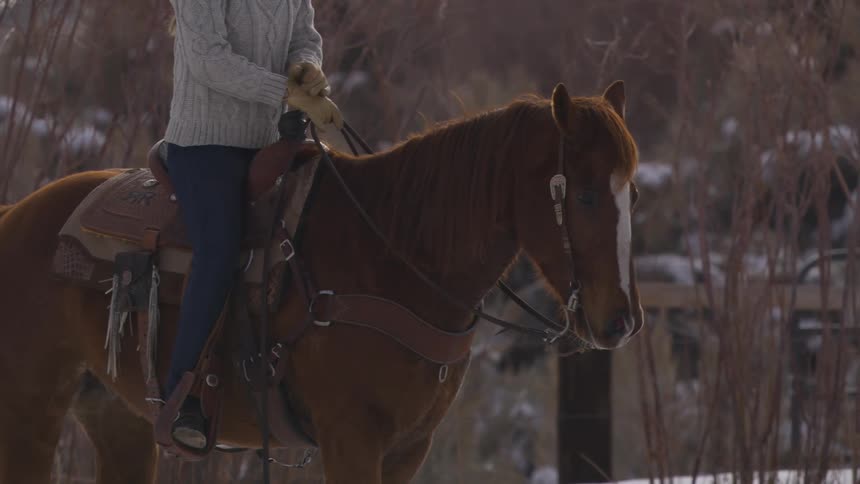 A woman is riding a horse in the snow