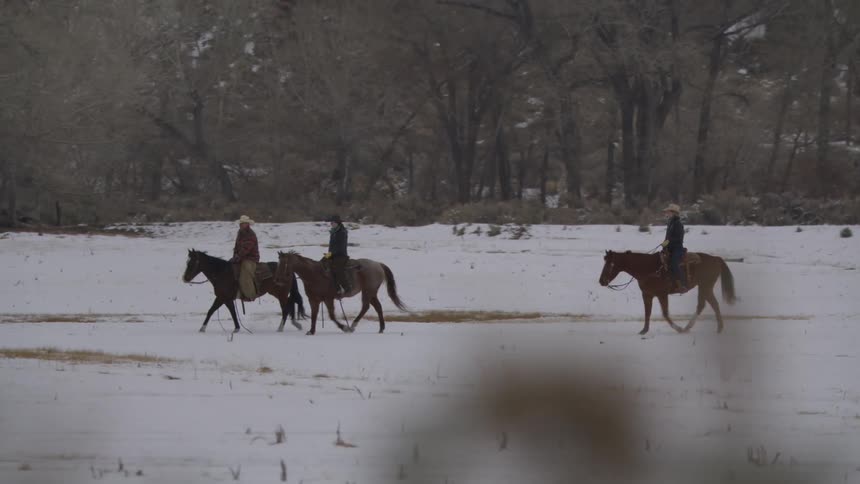 Three people on three horses walk across an open snow covered field with a line of trees in the background