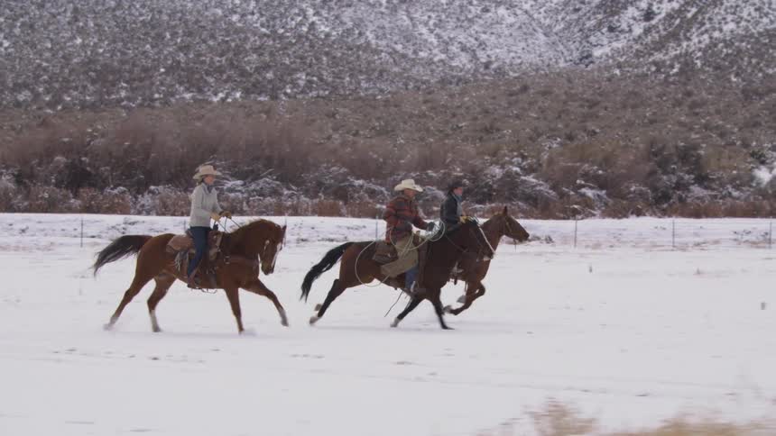 Three riders wearing cowboy hats trot their brown and tan horses across a snow covered field with brush and snowy mountains visible in the background