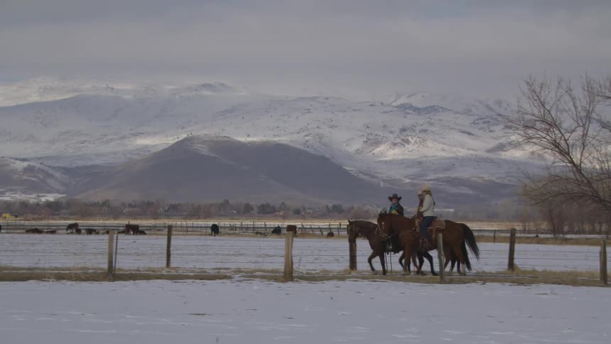 Three people ride horses along a snowy fence line at dusk with mountains in the distance