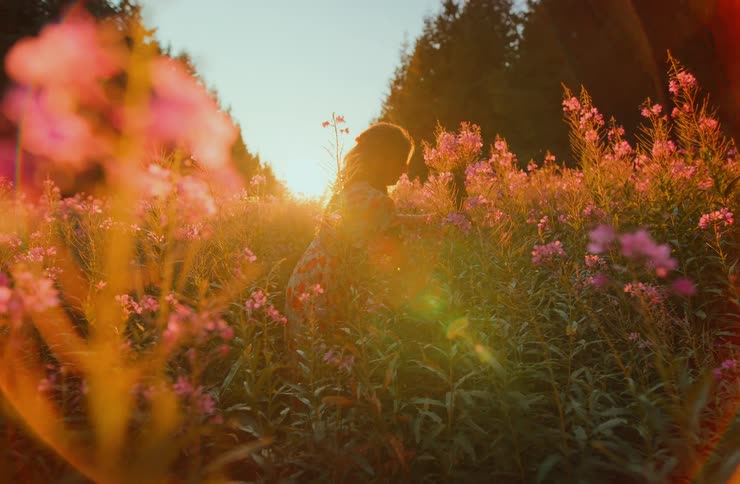 A backlit woman in a floral dress stands in a vibrant pink wildflower meadow surrounded by tall green pine trees touching the blossoms at sunset with a strong lens flare