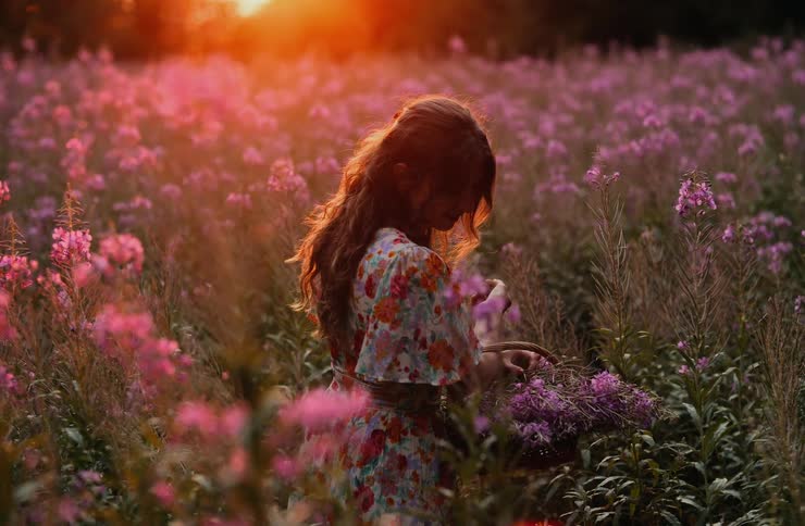A woman with long brunette hair down her back wearing a floral dress stands in a field surrounded by tall pink flowers as the sun sinks down towards the horizon