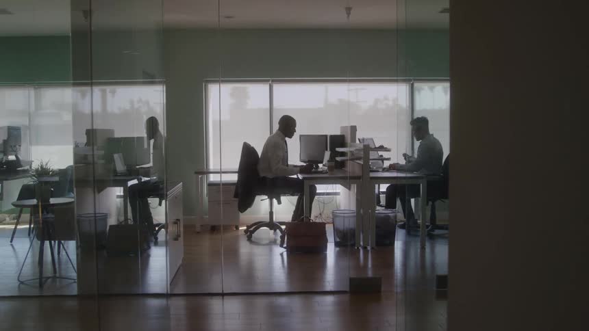 Two professionals work in glasswalled offices with natural light each focused on their monitors
