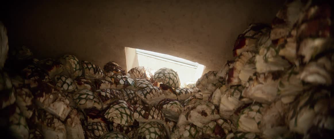 Agave pias piled inside a cooking oven