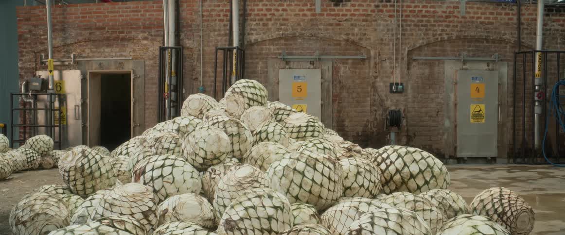 Piles of agave pias stacked in front of brick ovens at a distillery