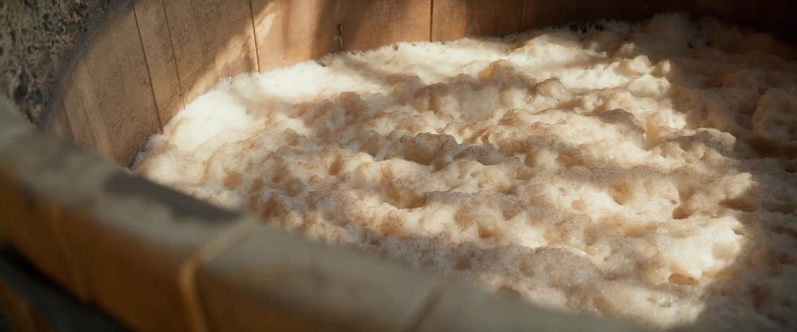 The process of fermentation takes place in a large open vat likely for brewing beer in a factory as sunlight reflects on the surface