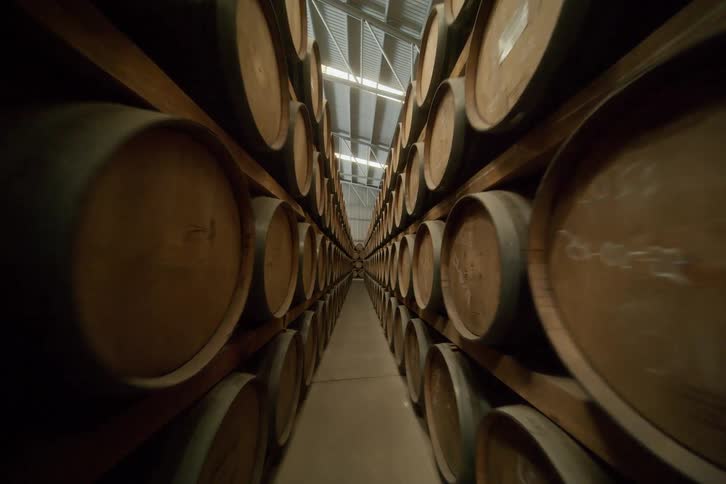 Rows of oak aging barrels are stacking in a large building