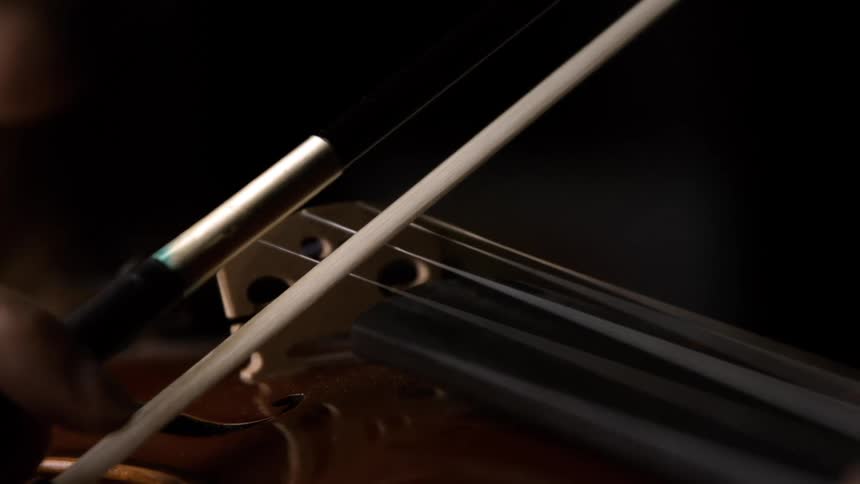 The person is playing the violin