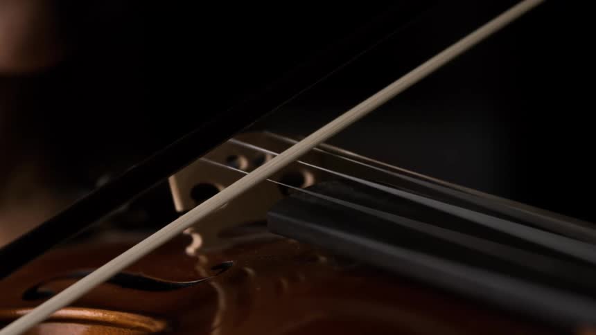 A closeup of a violin bow resting on the strings in a dark setting