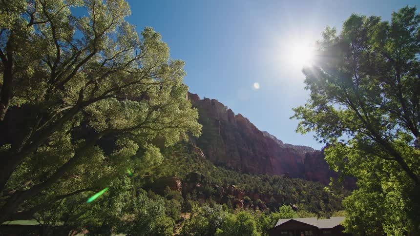 Tall trees frame rocky canyon cliffs under a bright clear sky
