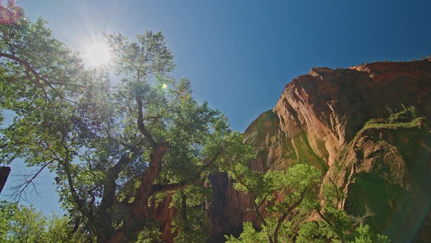 A canyon cliff rises behind green trees under a clear blue sky