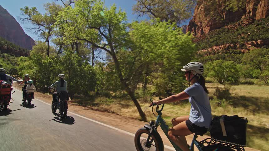 A group of people enjoy a sunny bike ride on a paved road through a scenic tree lined canyon