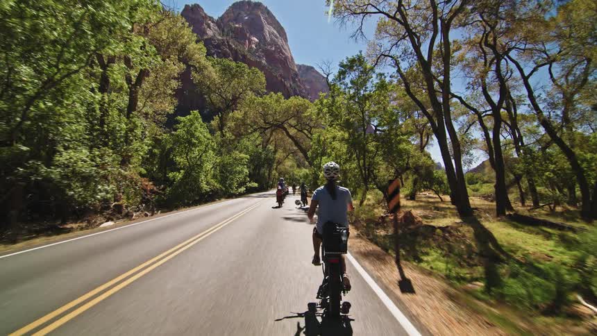 Several people bike in nature