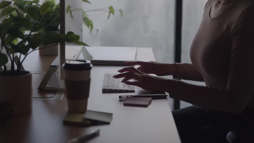 A woman works on a computer by a bright window in an office